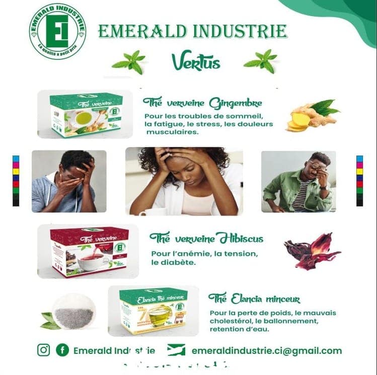 Thé BIO
